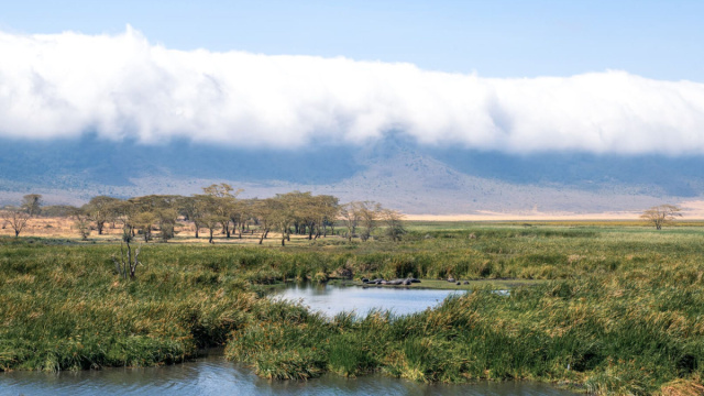 Safari epico di 9 giorni nel nord della Tanzania con Asilia ... &copy; Creative Commons