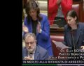 Schlein alla destra: 'Cambiate la definizione del Ddl antisemitismo o voteremo no'