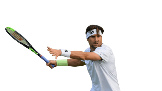 David Ferrer: His Legacy and Tennis Academy &copy; Creative Commons