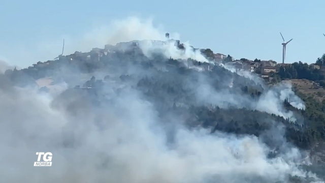 Incendio devasta l'area boschiva di Volturino - Telenorba &copy; Creative Commons