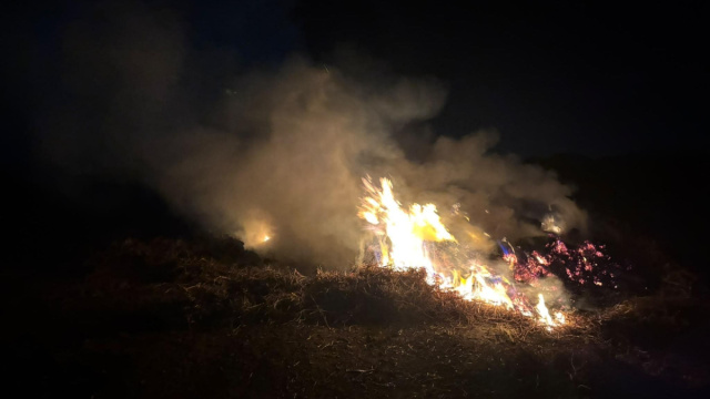 Roghi nelle campagne di San Severo, denunciati i gestori di un terreno &copy; Creative Commons