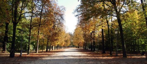Autunno in Alto Adige: escursione termica di 21 gradi a Sesto Pusteria