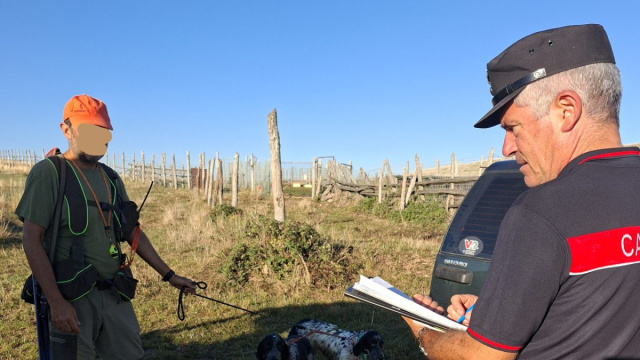 Caldarola, ucciso a fucilate un corvo imperiale: denunciato il ... &copy; Creative Commons