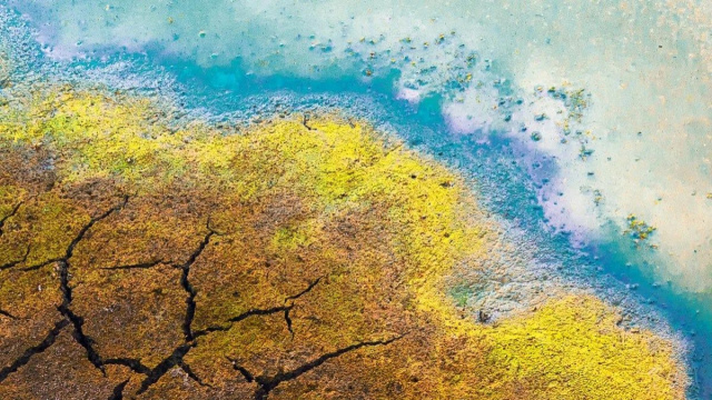 Gli esperti avvertono: "Finestra di pochi mesi per evitare una crisi alimentare globale, ma mancano i fondi".