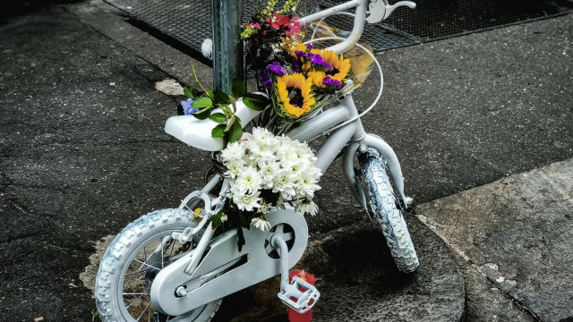 Investito in bici davanti al padre: morto bimbo di 7 anni. Una ... &copy; Creative Commons