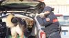 Arrestato a Bolzano con 9 kg di hashish: fermato giovane senza fissa dimora
