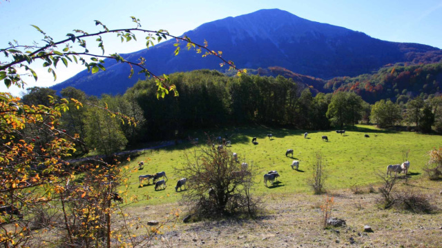 Parco Nazionale dell'Appennino Lucano Val d'Agri Lagonegrese &mdash; Pi&ugrave; ... &copy; Creative Commons