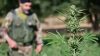 Maxi operazione antidroga nel Nuorese: sette arresti e due obblighi di dimora