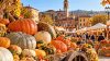 Piozzo capitale della zucca: la fiera diventa nazionale con oltre 650 varietà