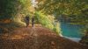 'DiVin Ottobre' torna in Trentino: 5 weekend tra vino, sapori e foliage