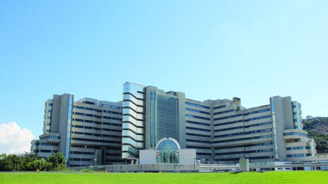 All'ospedale Brotzu &egrave; stato eseguito un trapianto di rene da ... &copy; Creative Commons