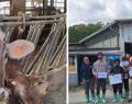 Piemonte: 744mila euro agli allevatori per danni da predatori