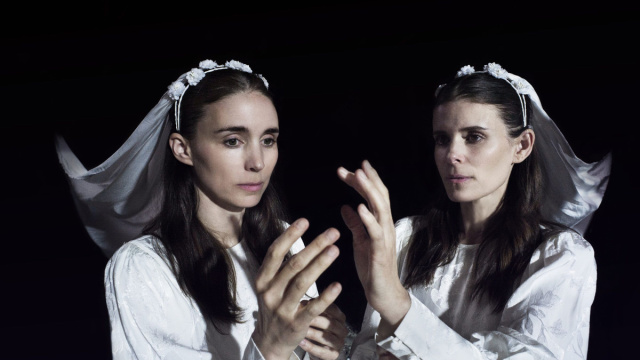 Bucking Fastard: storia vera e trama film di Herzog a Venezia 83 &copy; Creative Commons