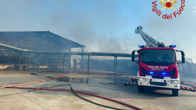 Incendio devasta allevamento: morti oltre 300 mila polli &copy; Creative Commons