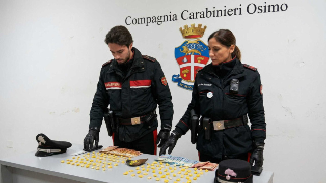 Jesi, arrestato 24enne con 180 dosi di cocaina tra gli arbusti &copy; Creative Commons