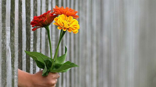 Ragazza con dei fiori in mano (&copy;pixabay.com)