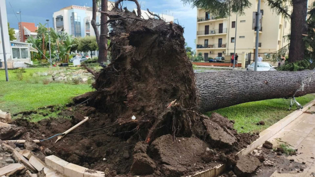 Tromba d'aria a Policoro, danni oltre i dieci milioni di euro &copy; Creative Commons
