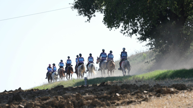 Zigul&igrave; FEI Endurance European Championship 2025 &copy; Creative Commons