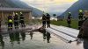 Mucca in piscina all'alba: salvataggio in un hotel altoatesino