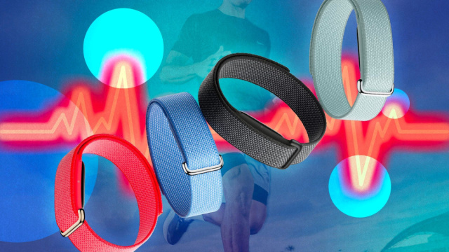 Com'&egrave; il nuovo Fitbit Air di Google, il fitness tracker senza ... &copy; Creative Commons