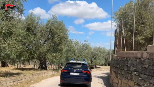 Esplosione in un casolare sulla strada per Castel del Monte, 2 morti &copy; Creative Commons