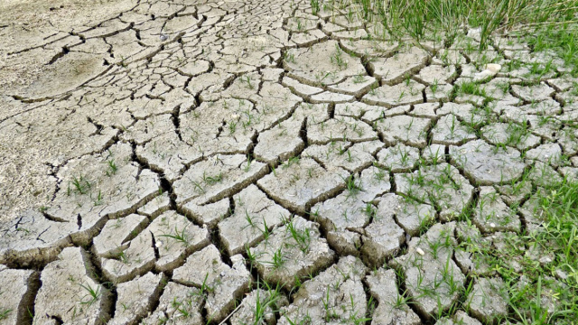 Siccit&agrave;: l'impatto sul settore agricolo - Openpolis &copy; Creative Commons