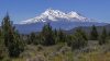 Salvati sul Mount Shasta: escursionisti si affidano a Gemini AI