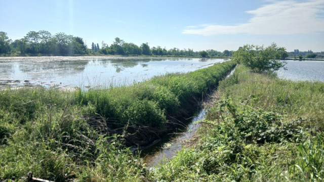 Pista Ciclabile del Naviglio Grande: da Magenta a Milano  giro in ... &copy; Creative Commons