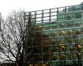 Deloitte Italia: ricavi a 1,8 miliardi, +9% e 15° anno di espansione
