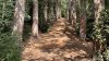 Marche Trail 2026: l'avventura in bici dai Sibillini all'Adriatico