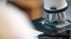Notte dei Ricercatori 2026: oltre 200 laboratori animano la Calabria