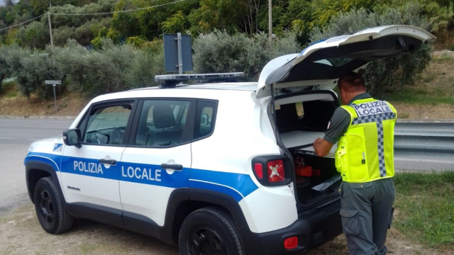 Sicurezza stradale. Al via i controlli della Polizia Provinciale ... &copy; Creative Commons