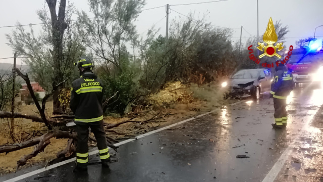 Bomba d'acqua, alberi caduti e sottopassi allagati nel Pesarese. I ... &copy; Creative Commons