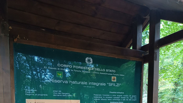 Cose da vedere e le attrazioni migliori nei dintorni di Foresta Umbra ... &copy; Creative Commons