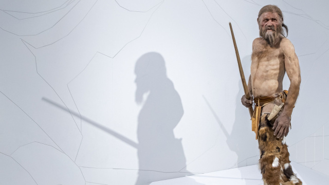 Informazioni per la stampa - Museo Archeologico dell'Alto Adige &copy; Creative Commons