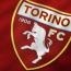 Torino Calcio