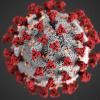 Coronavirus - Covid-19