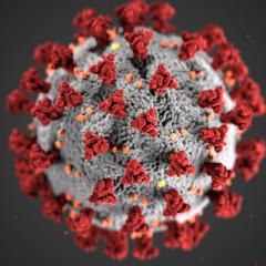 Coronavirus