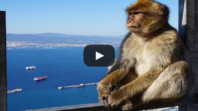 Video: 'Calm down!' Spain warns Britain over Gibraltar