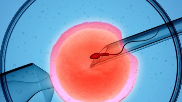 E' arrivata l'ora della gravidanza maschile! 