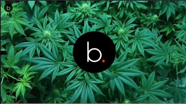 Fabri Fibra e la sua relazione con la marijuana