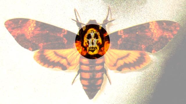 Messaggi Subliminali, Cosa Sono e a Cosa Servono