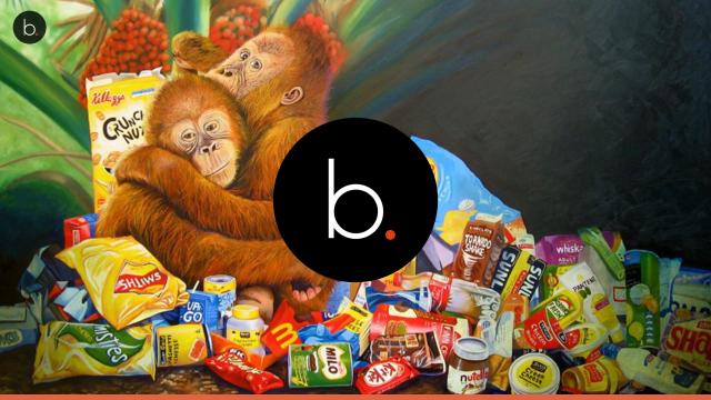 Assista: Produção de Nutella devasta florestas e mata inúmeros orangotangos