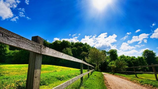 Vídeo - Saiba quando as questões ambientais começaram a serem discutidas