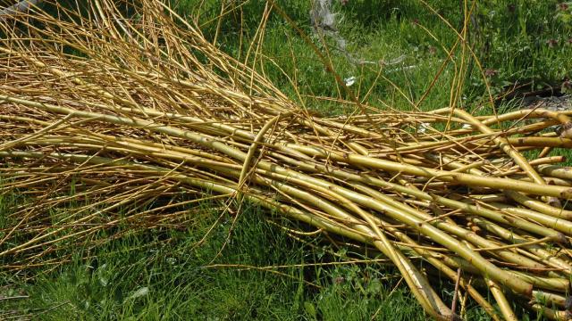 Imbolc, la croce della Dea Brigid per chi ha perso la strada