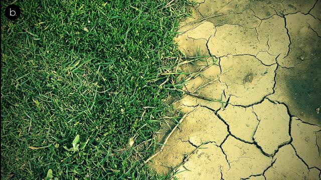 Lo que fueron desiertos ahora son piedras