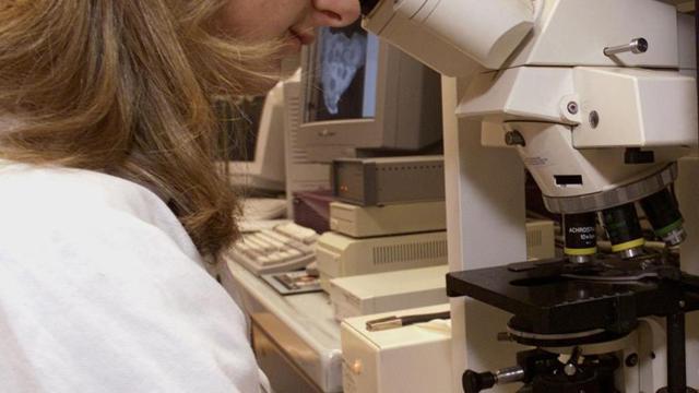 I ricercatori hanno puntato l'attenzione sui progenitori oligodendrocitari