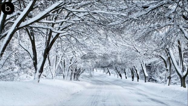 Connaissez-vous la terrible histoire de cette &icirc;le ?