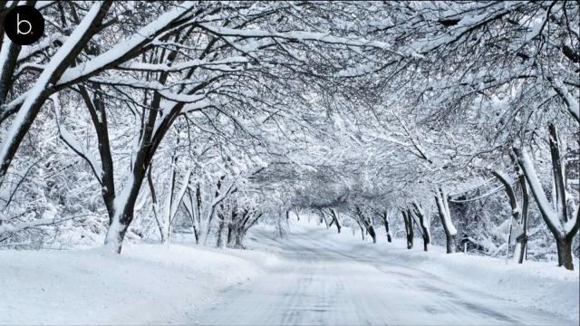 Connaissez-vous la terrible histoire de cette île ?