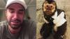 Twelves, o macaco do cantor Latino, morre após sofrer um atropelamento